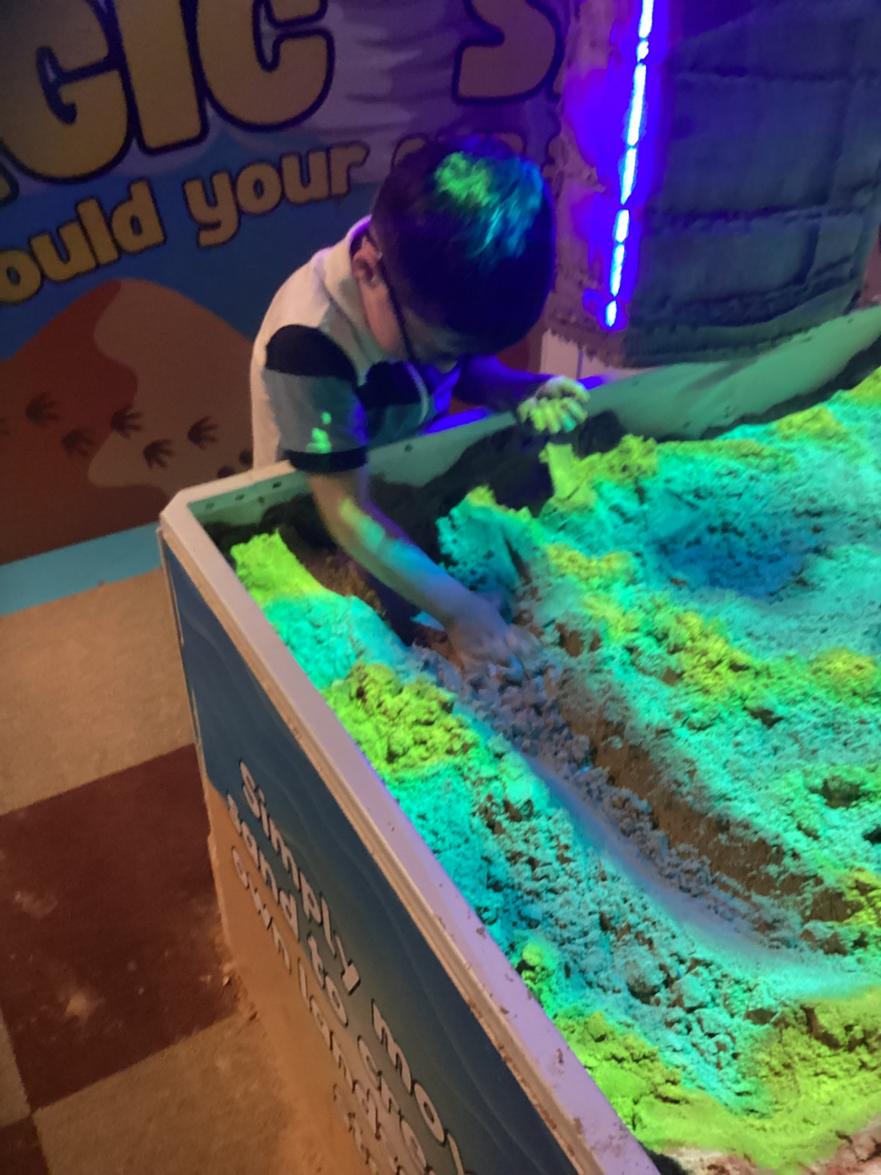499703143_2487092438306766_6046042923286180539_n 